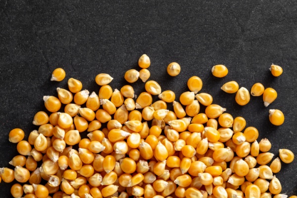 c’est-l’histoire-d’une-societe-qui,-faute-de-travail,-pense-pouvoir-echapper-a-la-taxe-fonciere…