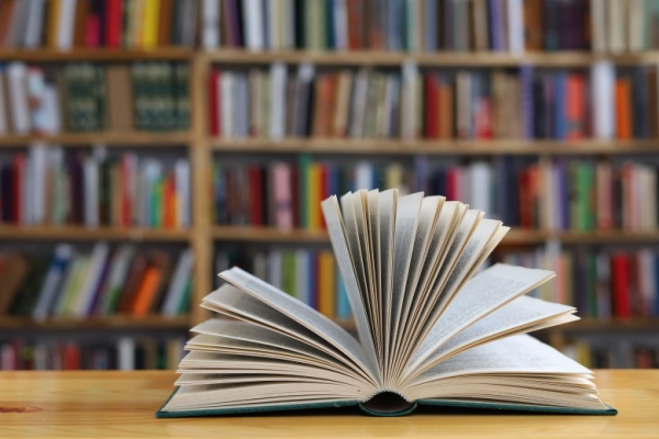 indice-de-la-production-dans-l’edition-–-annee-2025