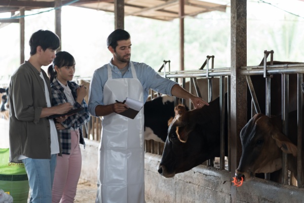 travailleurs-agricoles-:-une-nouvelle-aide-a-la-promotion-collective-agricole