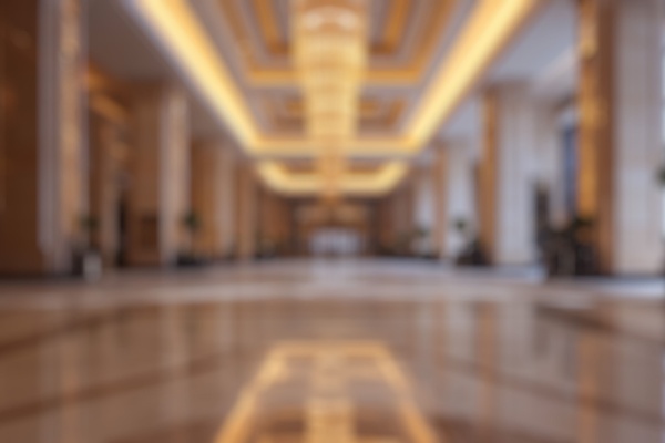 indice-de-la-frequentation-touristique-des-hotels-–-annee-2024