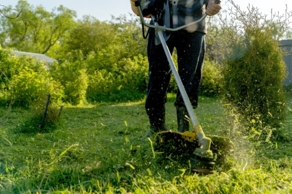 indice-de-la-production-des-services-aux-menages-–-annee-2024
