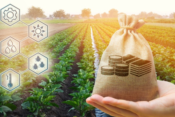 agriculture-a-saint-pierre-et-miquelon-:-une-aide-a-l’installation-possible