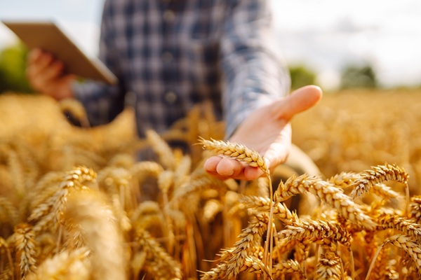 cotisations-agricoles-:-du-nouveau-pour-le-calcul-en-2027