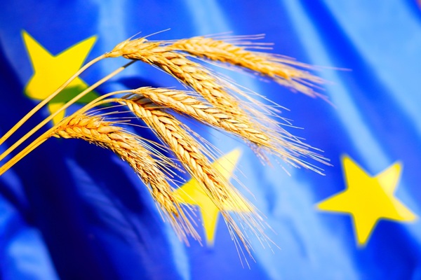 bonnes-conditions-agricoles-et-environnementales-:-une-nouvelle-definition-de-la-haie